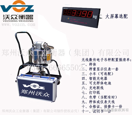 電子吊秤 電子吊秤