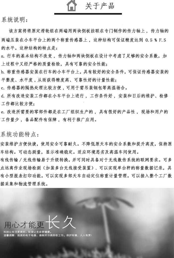 行車秤系統說明、行車秤系統說明圖片 行車秤系統說明、行車秤系統說明圖片