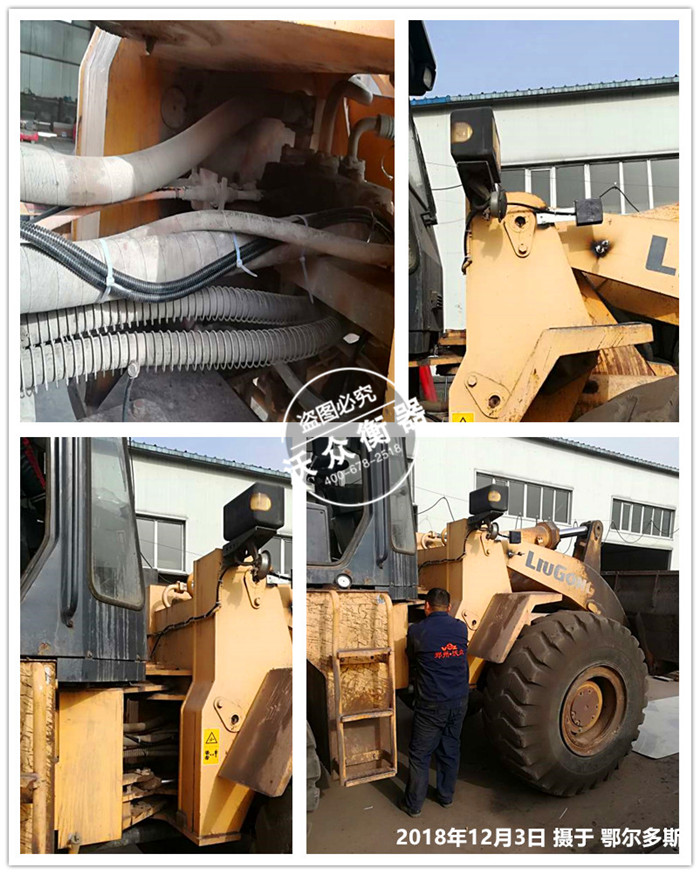 12.3���ɶ�����˹