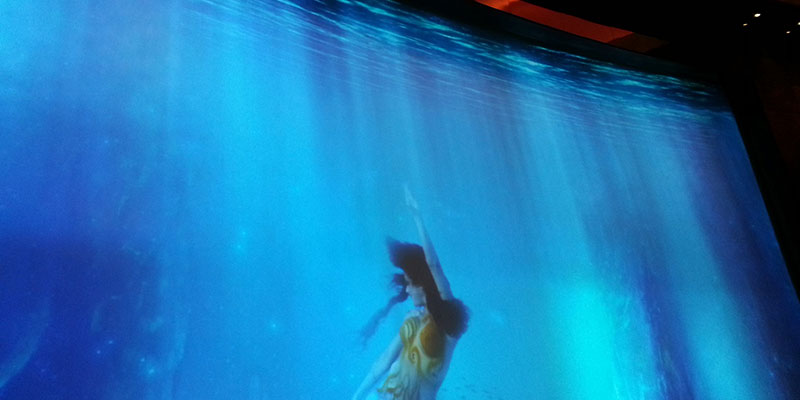 數碼水簾 數碼水簾